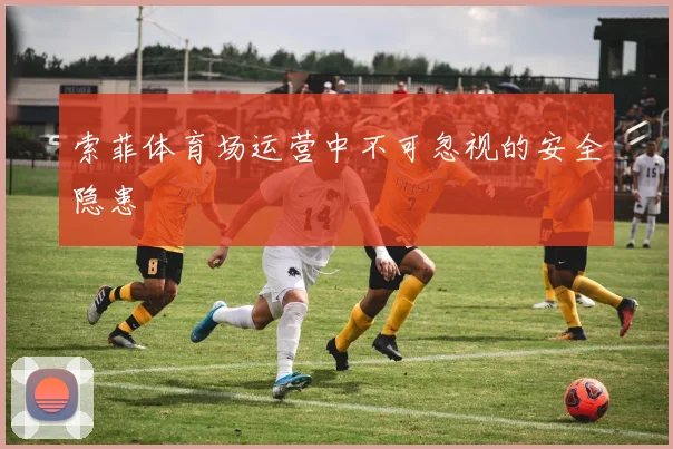 索菲体育场运营中不可忽视的安全隐患